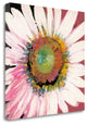 "Sunshine Flower I" By Leslie Bernsen, Giclee Print on Gallery Wrap Canvas
