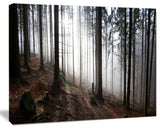 Misty Forest Morning Panorama, Landscape Canvas Art Print, 40"x30"