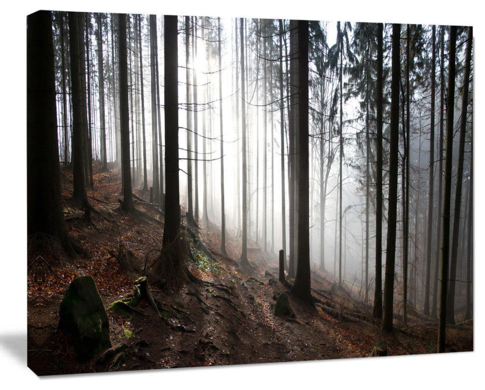 Misty Forest Morning Panorama, Landscape Canvas Art Print, 40"x30"