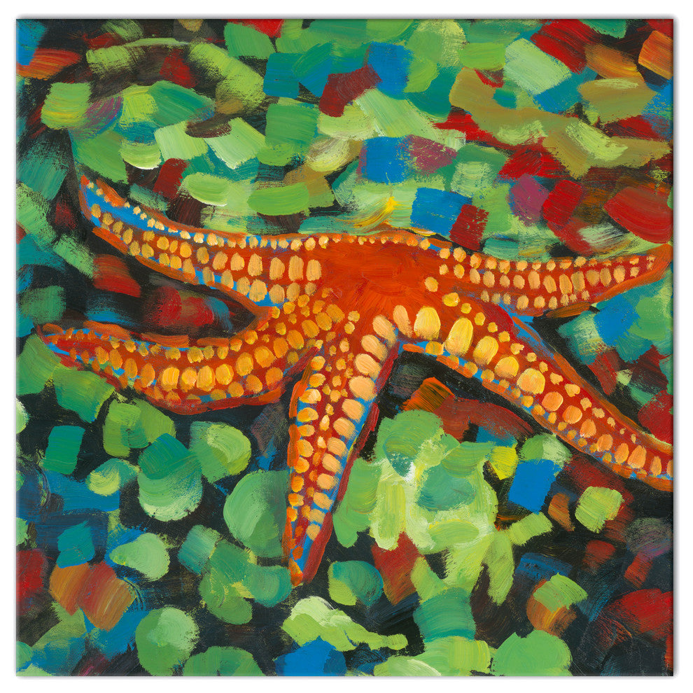 Painted Starfish on Seaglass 24x24 Canvas Wall Art