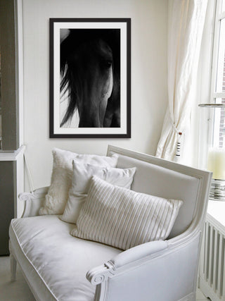 "Shadow Horse" Framed Art Print, 61x91 cm