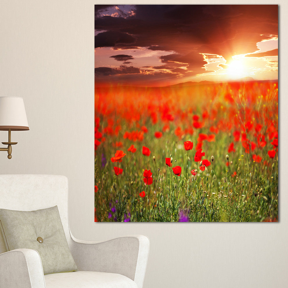 Wild Poppy Flowers At Cloudy Sunset, Large Flower Canvas Art Print, 30"x40"