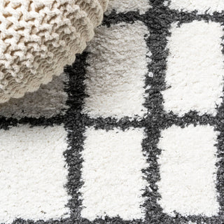 Arenal Geometric Grid Shag, White/Black, 3'x5'
