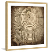 "Rings of Age" Framed Art Print