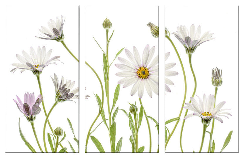 Ready2HangArt 'Cape Daisies' 3-Piece Canvas Wall Decor Set, 60"x40"