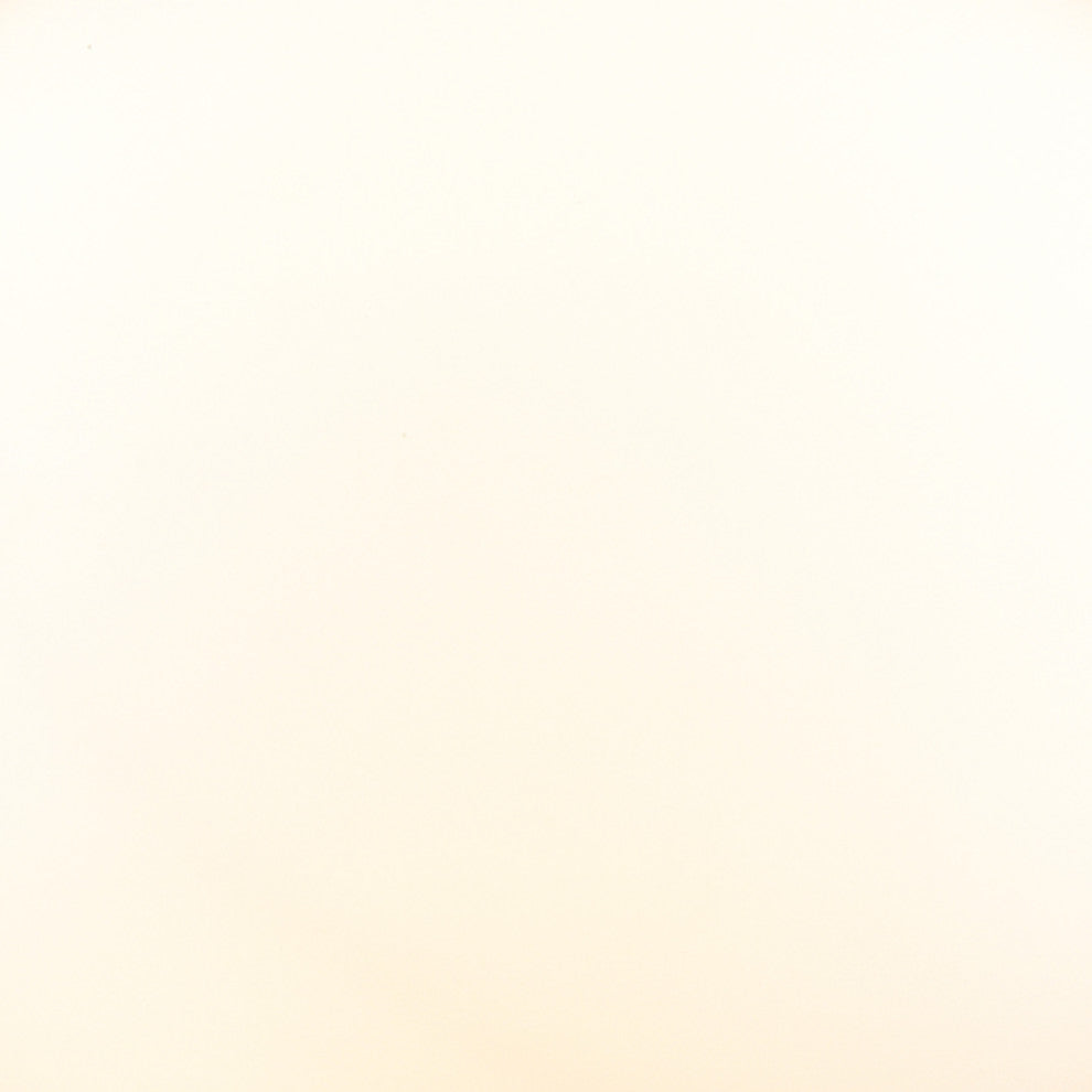 Edison Bristol Glass 8" Sconce, Polished Chrome, Matte White Shade