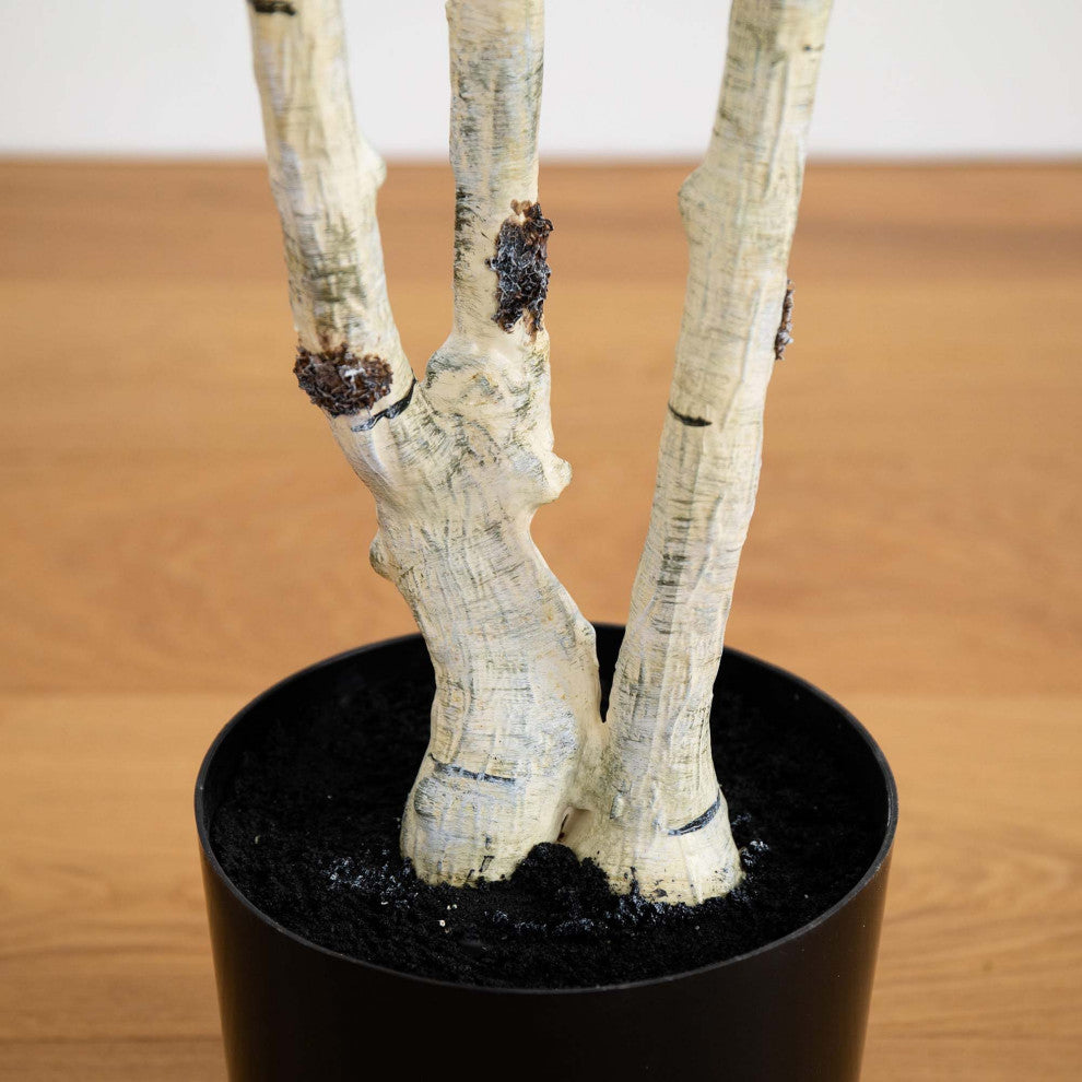 Trunk in pot on wooden floor; not lifestyle or white background.