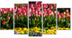 Red Tulips with Yellow Purple Flowers, Flower Canvas Print, 60"x32", 5 Panels