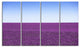 "Lavender Flowers With Blue Horizon" Landscape Wall Art Print, 4 Panels, 48"x28"