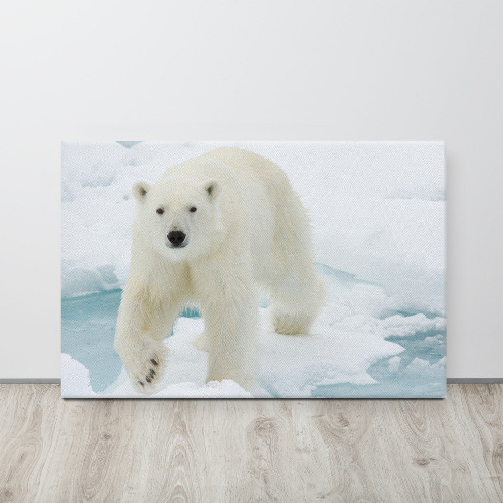 Giant White Polar Bear Walking On Icy Lake Wildlife Photo Canvas Wall Art Print, 24" X 36"