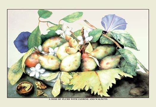 A Dish of Plums with Jasmine and Walnuts- Gallery Wrapped Canvas Art 28" x 42"