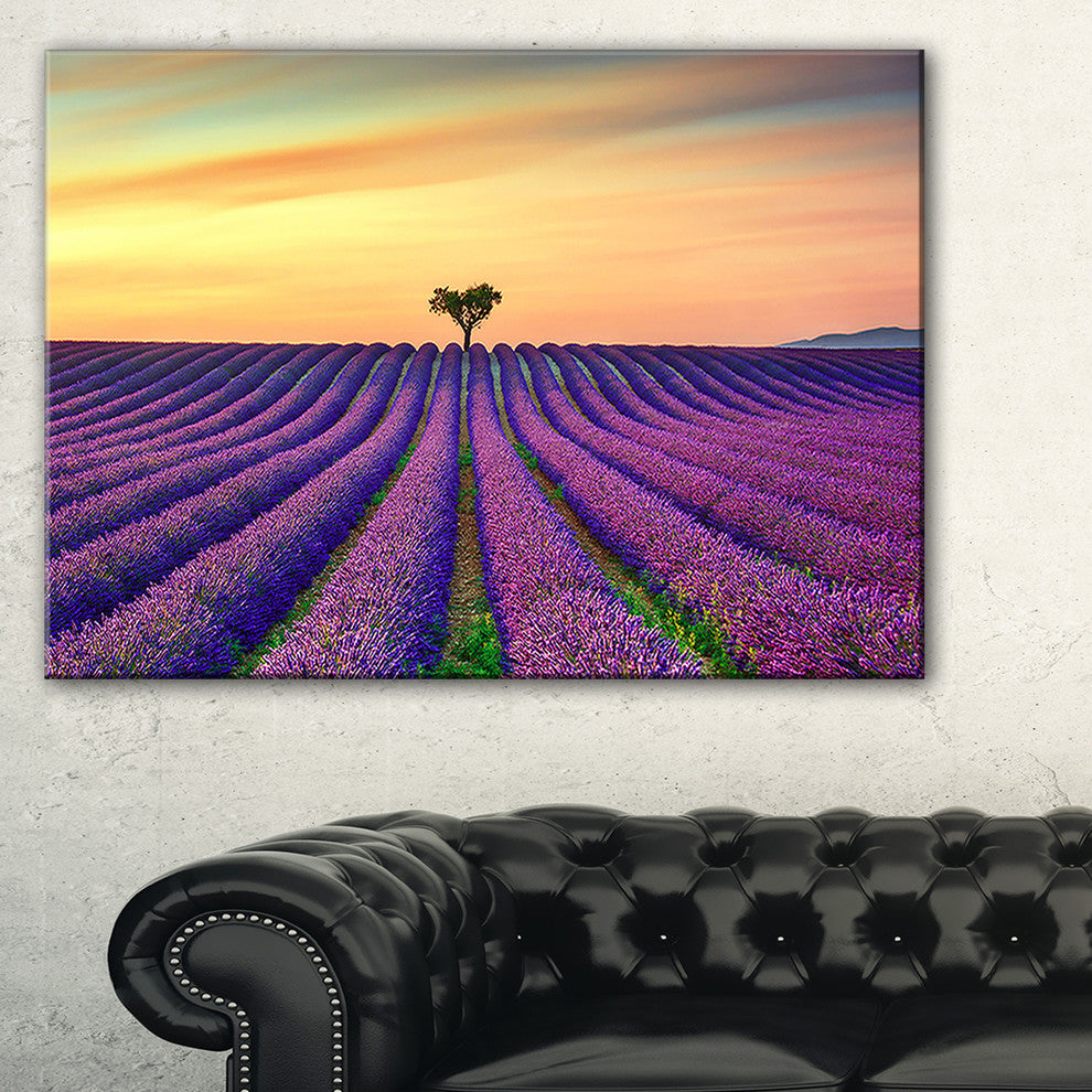 "Lavender Flower Rows in Provence" Landscape Wall Art Print, 1 Panel, 60"x28"