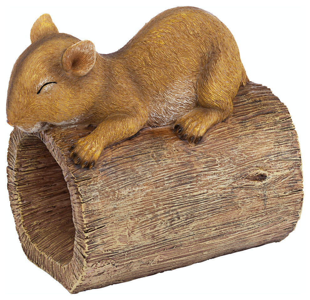 Jolly The Squirrel Gutter Guardian