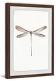 "Tall Dragonfly" Framed Painting Print, 12"x18"
