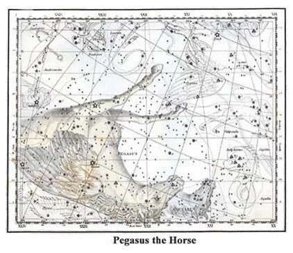 Pegasus the Horse - Framed Paper Poster 20" x 30"