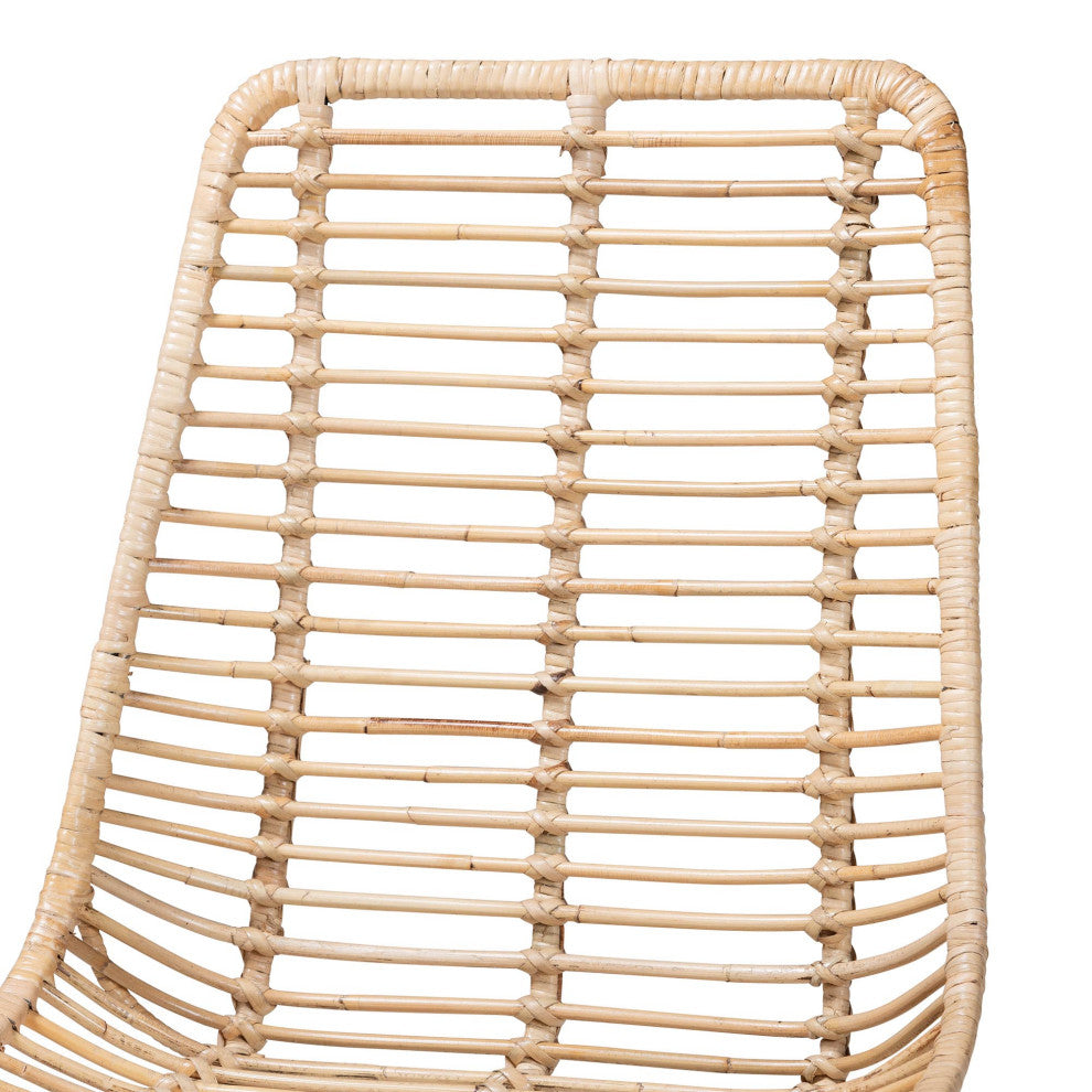 Rosalin Rattan and Metal Dining Chairs, Set of 2