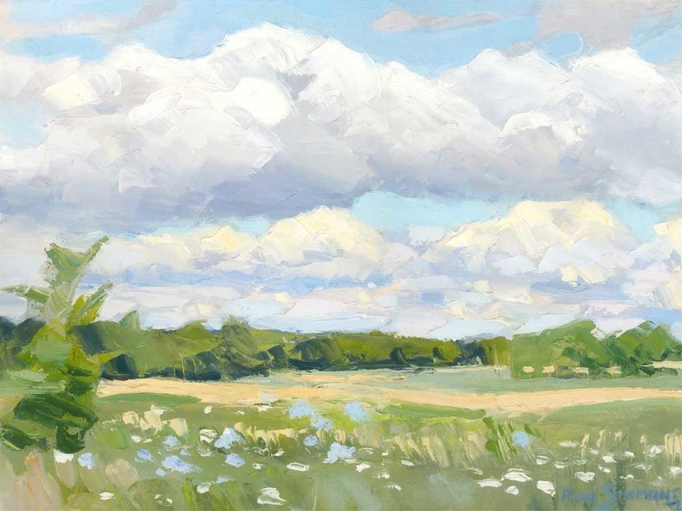 "Blue Chickory Fields" Museum Mounted Canvas Print, 14"x11"