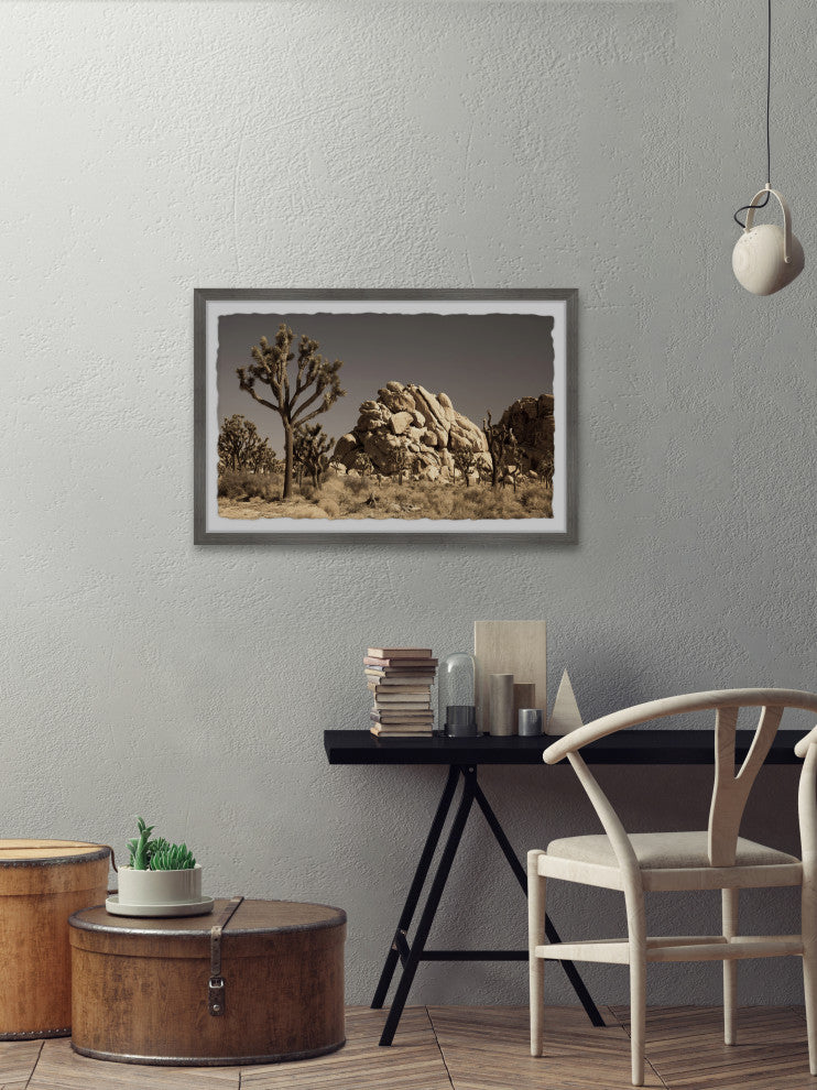 "Cactus and Rocks" Framed Painting Print, 30x20