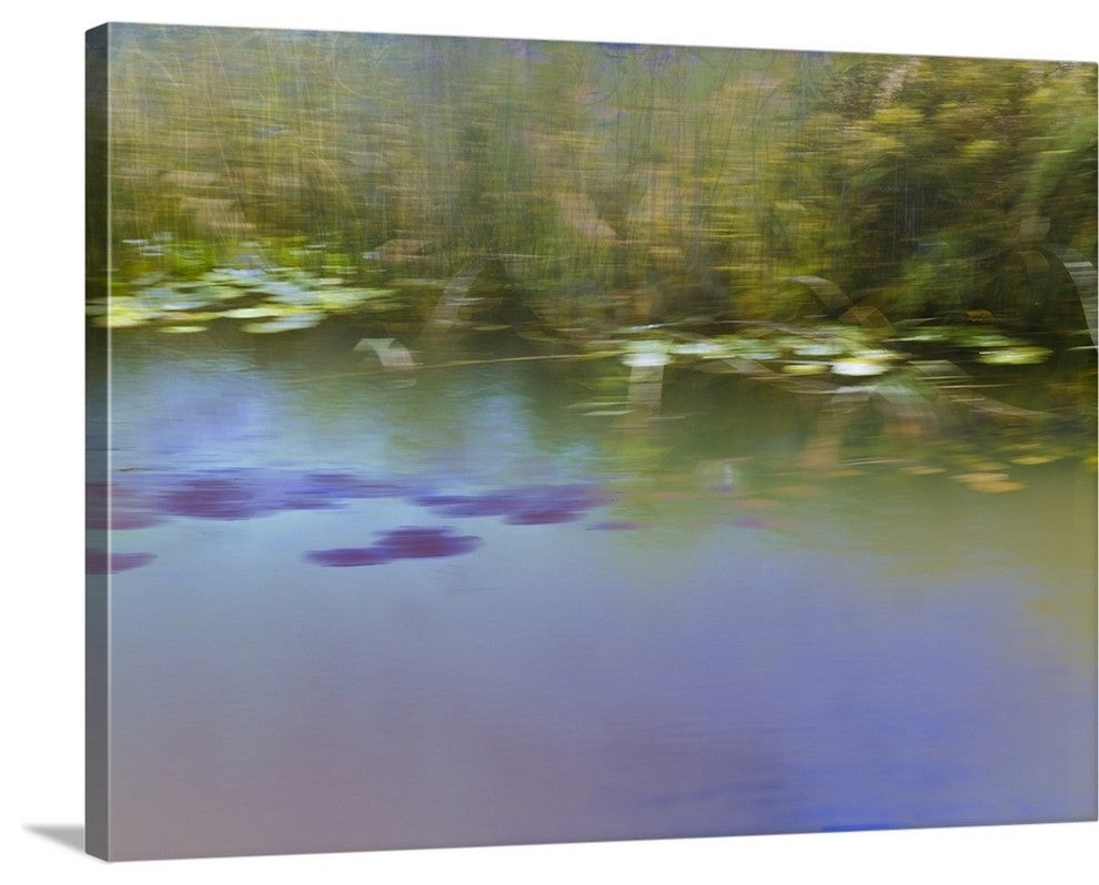 "In Search of a Kingfisher" Wrapped Canvas Art Print, 24"x18"x1.5"