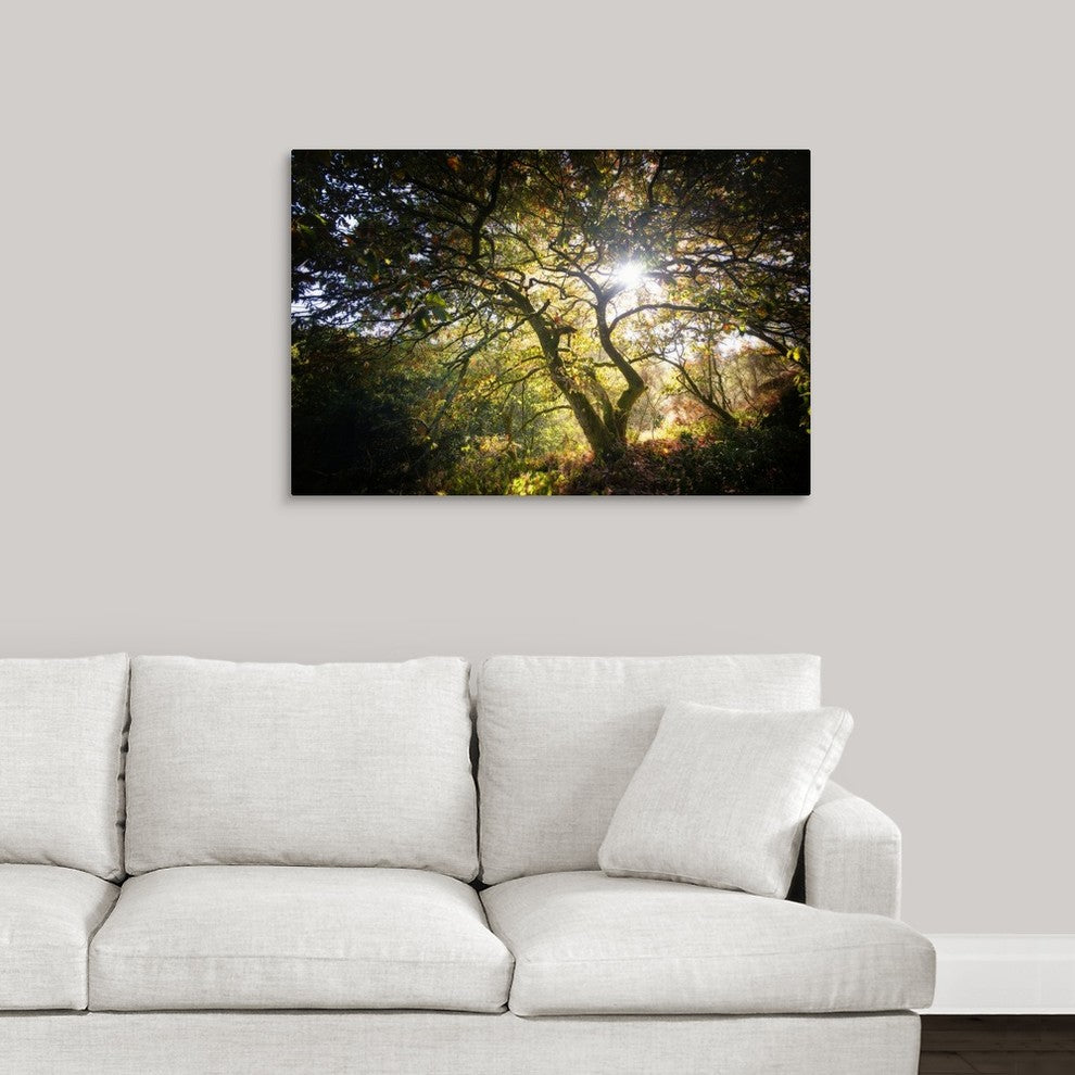 "Light" Wrapped Canvas Art Print, 36"x24"x1.5"