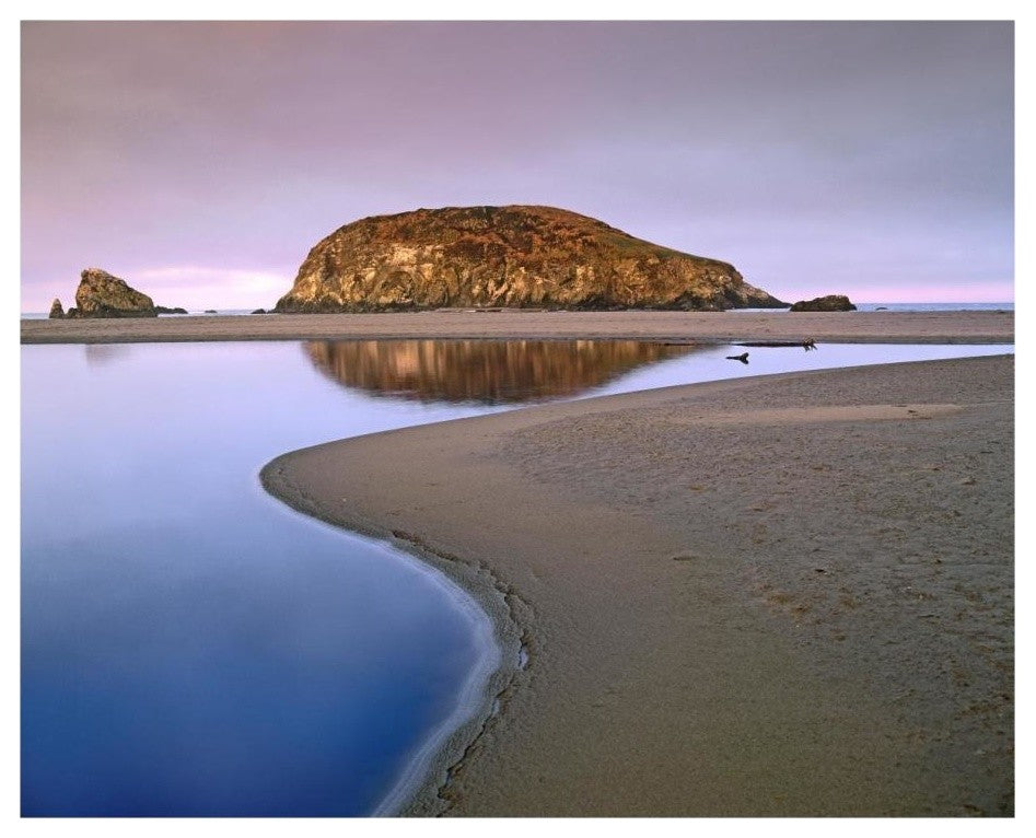 "Harris Beach State Park, Oregon" Digital Paper Print by Tim Fitzharris, 22"x18"