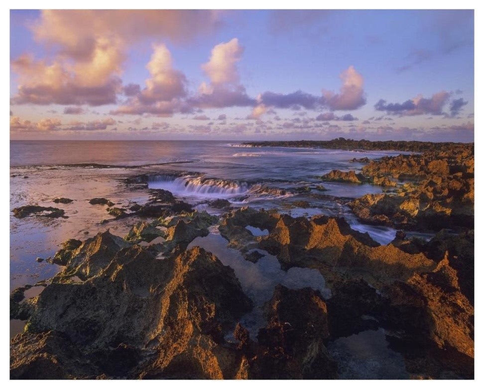 "Dusk at Shark's Cove, Oahu, Hawaii" Paper Print by Tim Fitzharris, 30"x24"