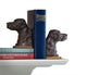 Lab Bookends, Set of 2, Bronze