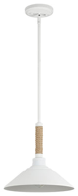 Journey 1-Light Pendant, Natural White