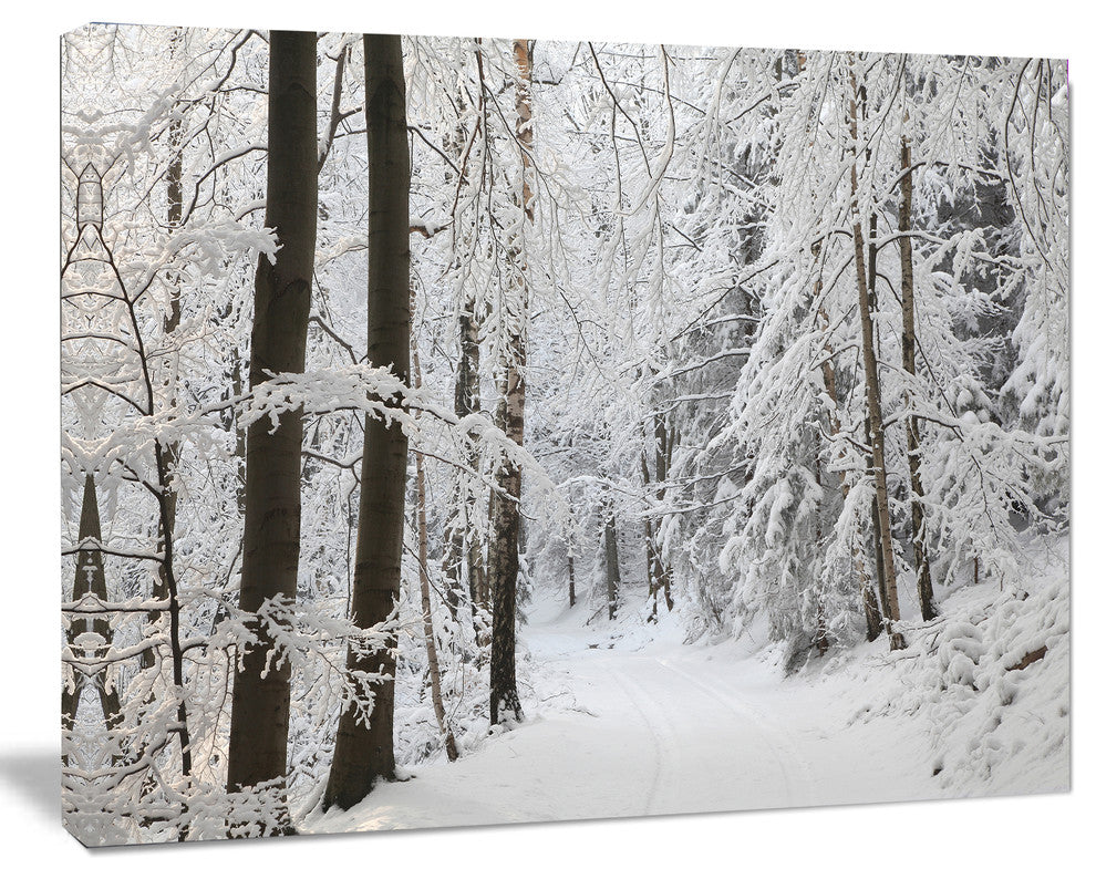 Dense Winter Forest and Lane, Large Forest Canvas Art Print, 20"x12"