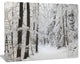 Dense Winter Forest and Lane, Large Forest Canvas Art Print, 20"x12"