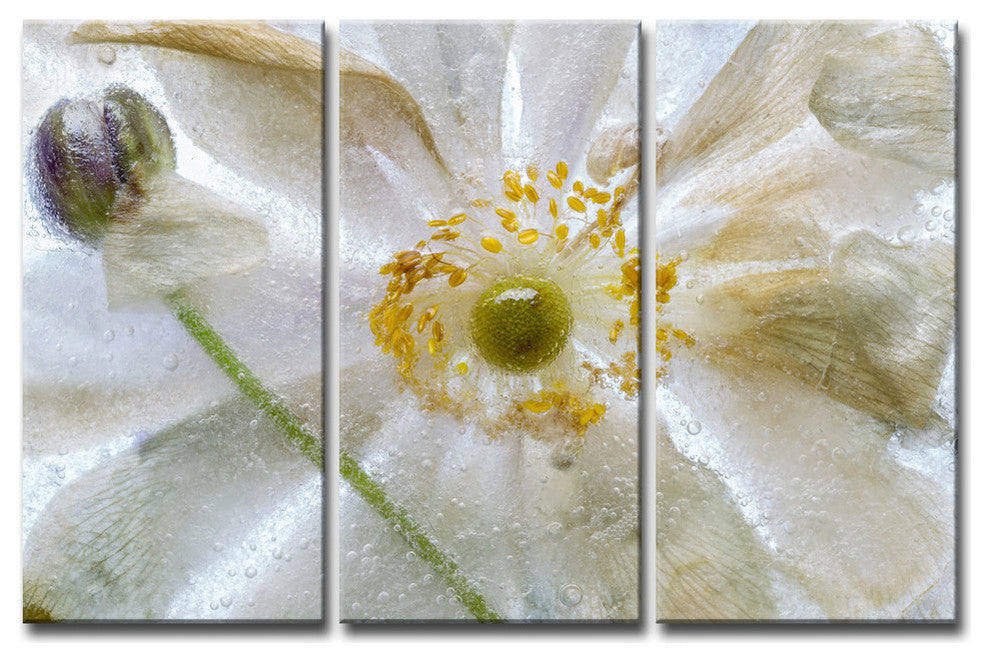 Ready2HangArt 'Floral Freeze' 3-Piece Canvas Wall Decor Set, 60"x40"