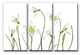 Ready2HangArt ''Spring Snowdrops'' 3-Piece Canvas Wall Decor Set, 36"x24"