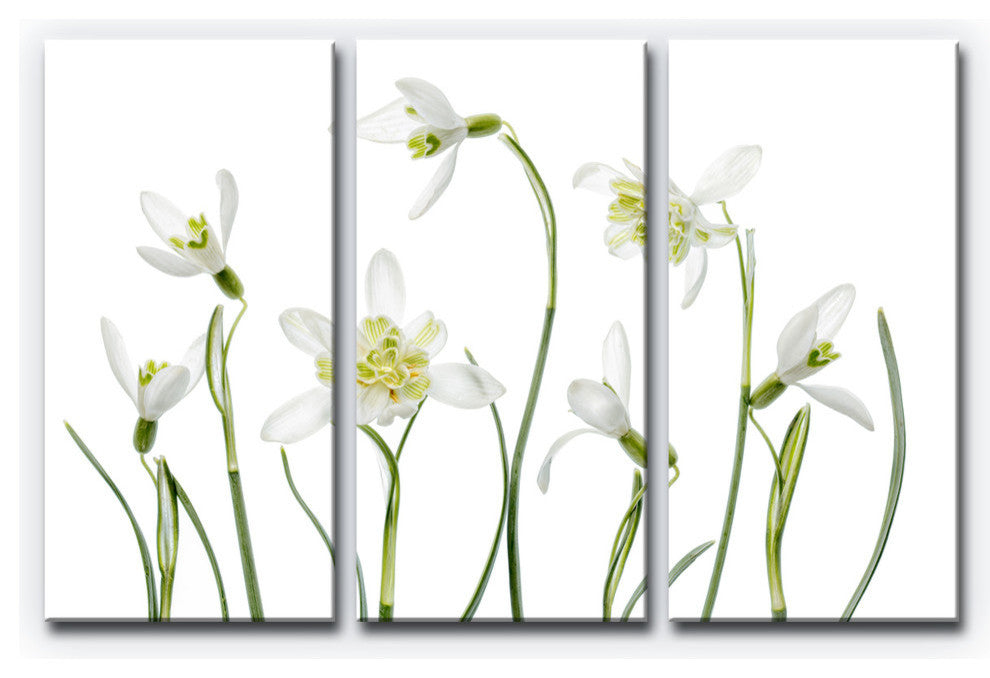 Ready2HangArt ''Spring Snowdrops'' 3-Piece Canvas Wall Decor Set, 36"x24"