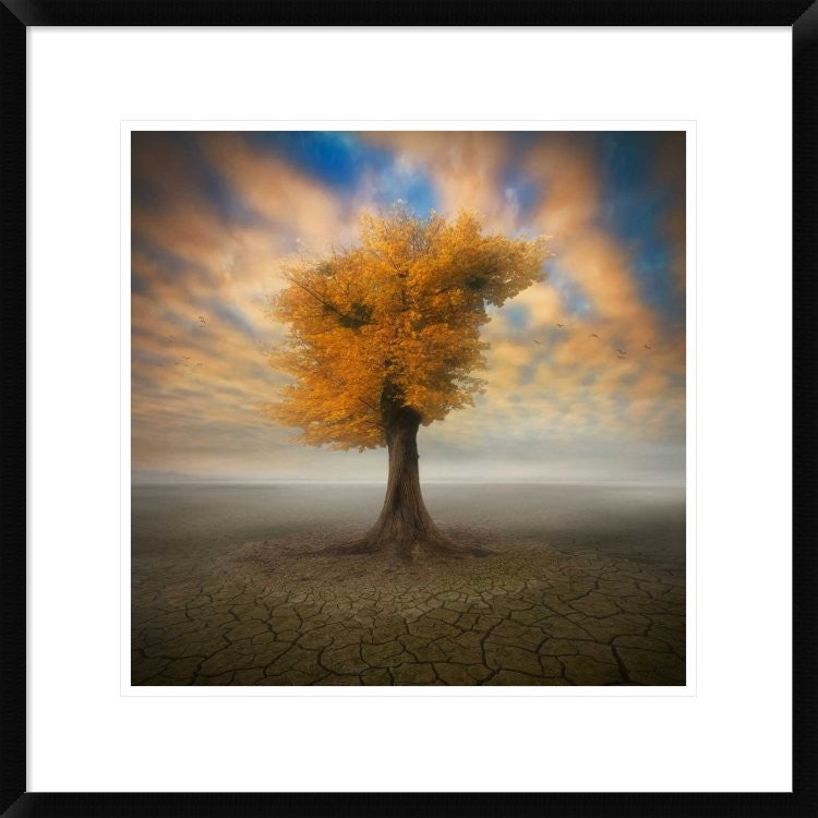 "Lonesome" Framed Digital Print by Piotr (Bax) Krol, 24x24"