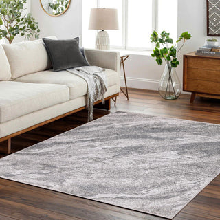 High-Low Silas Gray/Beige Rug, Gray, 7'9"x10'