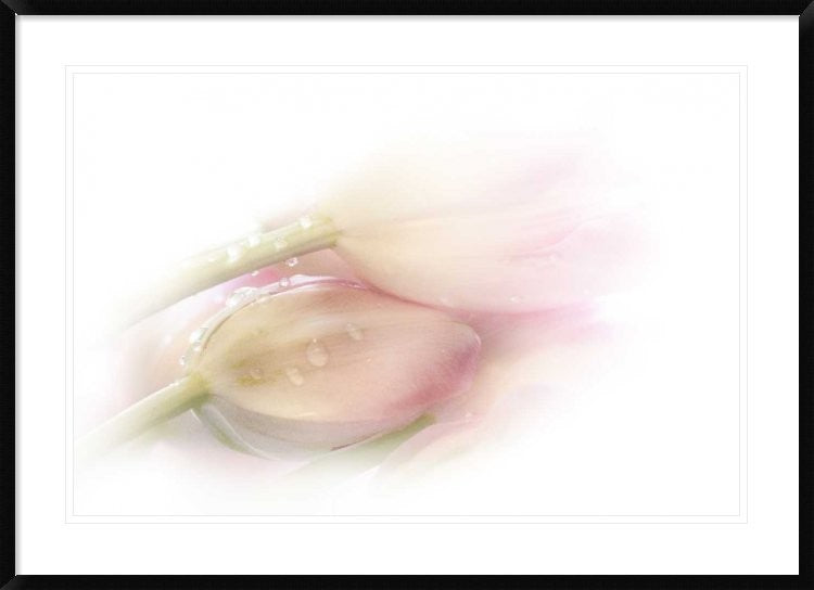 "Touching" Framed Digital Print by Stefan Eisele, 44x32"