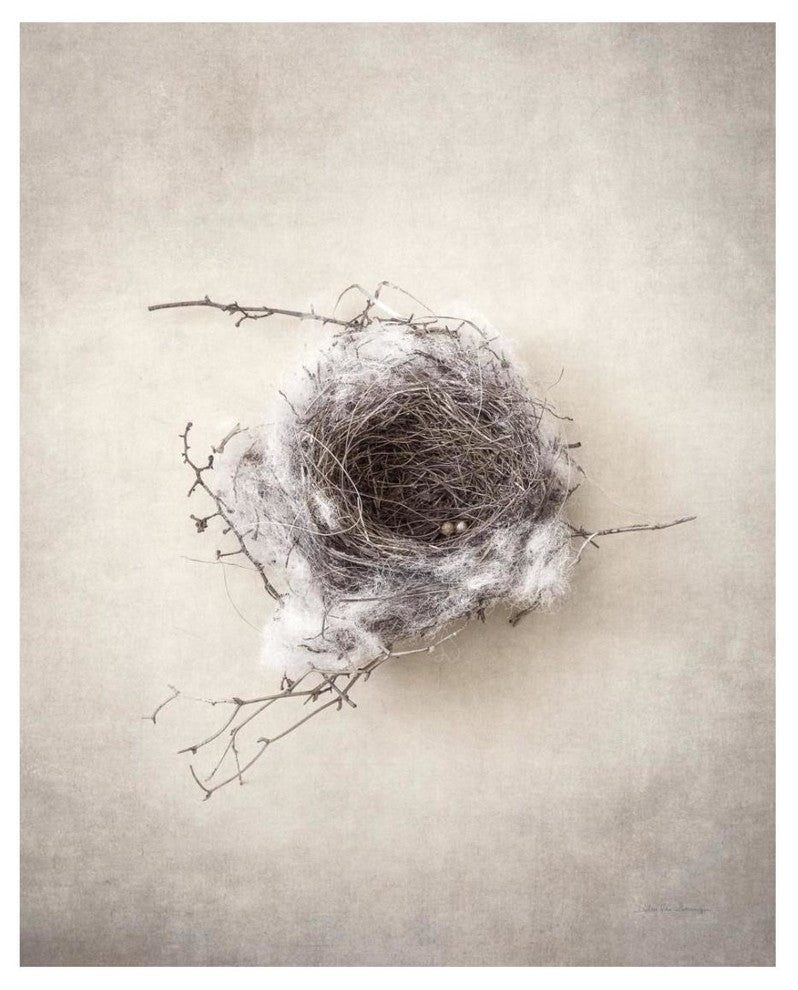 "Nest III" Digital Paper Print by Debra Van Swearingen, 22"x26"