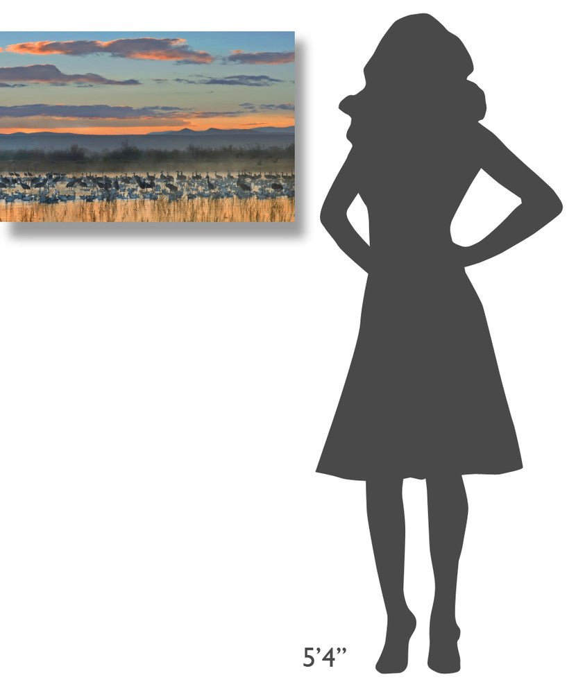 "Snow Geese and Sandhill Cranes, New Mexico" Paper Art, 30"x20"