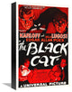 "The Black Cat, 1934" Stretched Canvas Giclee by Hollywood Photo Archive, 11x16"