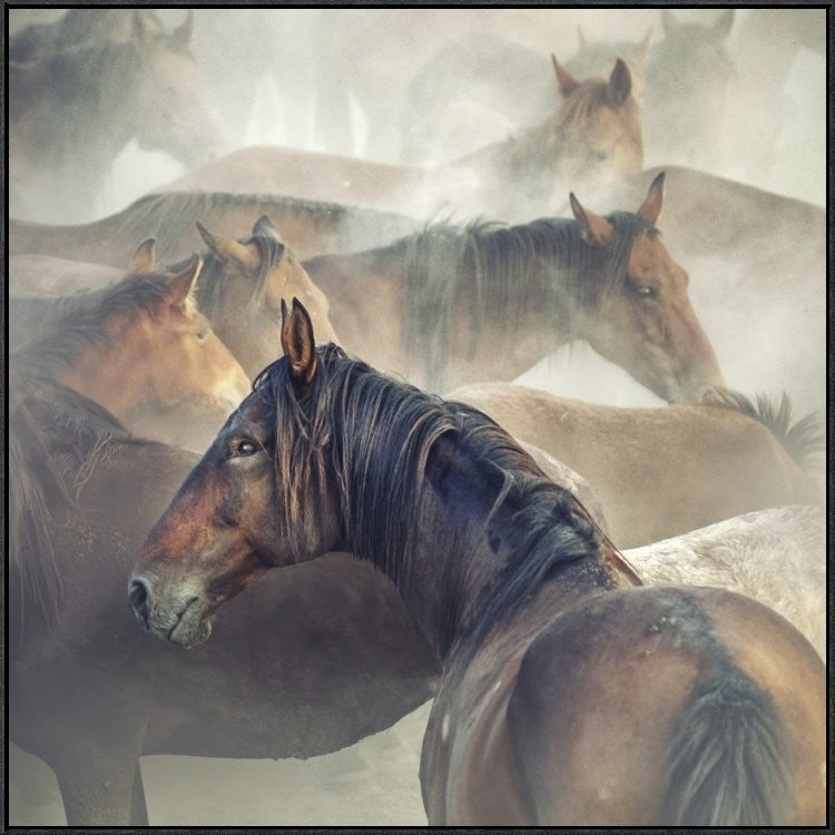 "Tired Horses" Framed Canvas Giclee by Huseyin Taskin, 37x37"
