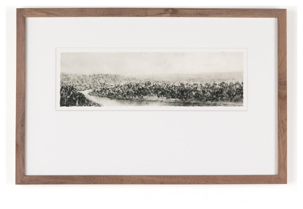 Hill Ctry Study Ii By Aileen Fitzgerald