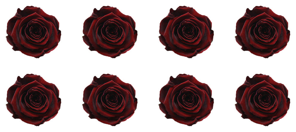 Regular Preserved Roses, Set of 8, Burgundy