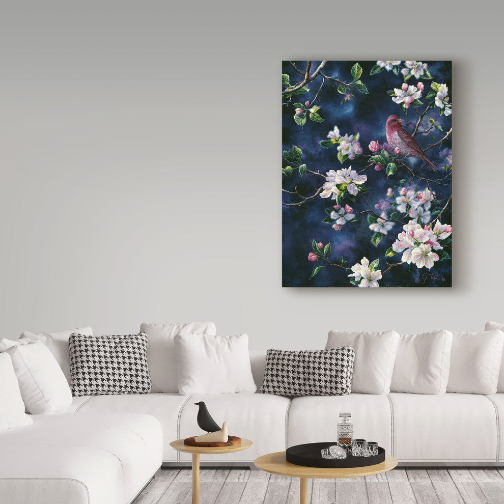 Jeff Tift 'Bird' Canvas Art, 47"x35"