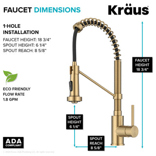 Bolden Commercial Style 2-Function Pull-Down 1-Handle 1-Hole Kitchen Faucet, Brushed Brass