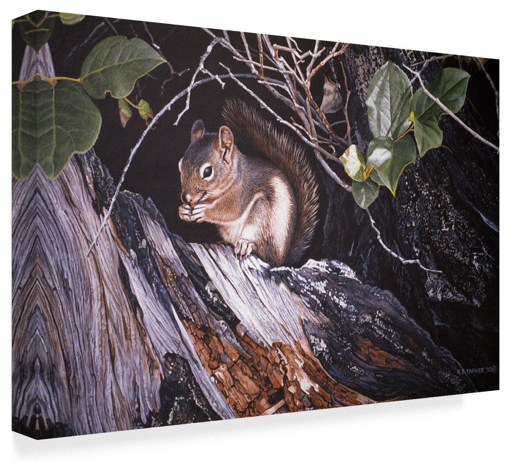 Ron Parker ''Red Squirrel In Salac'' Canvas Art, 19"x12"