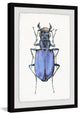 "Violet Beetle" Framed Painting Print, 30"x45"
