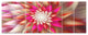 Pink Exotic Fractal Flower, Abstract Canvas Art Print, 83"x32", 7 Panels