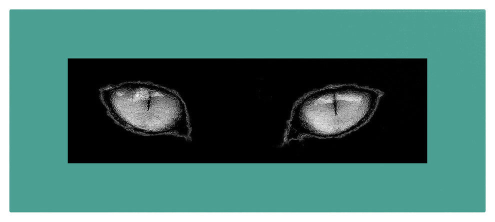 ''Cat Eyes'' Canvas Art by Patty Tuggle