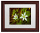 PIPA Fine Art 'Wild Beauty' Matted Framed Art, 14x11