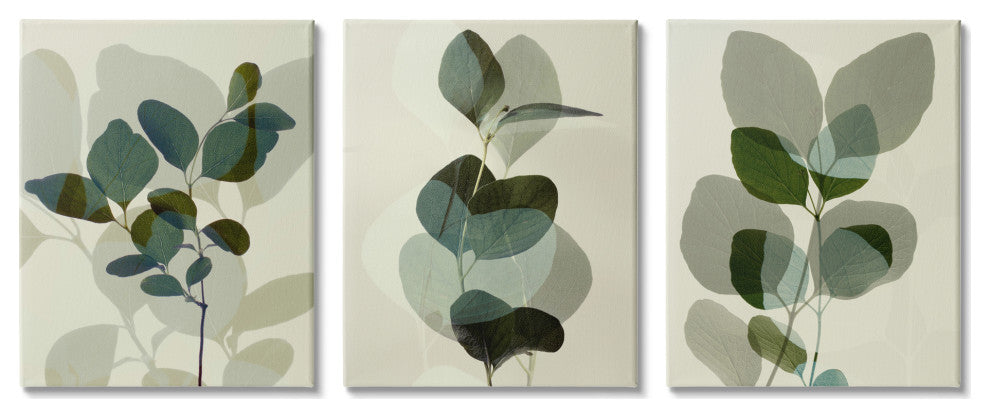 Modern Forest Plant Photography Overlapping Foliage Shadows,16 x 20